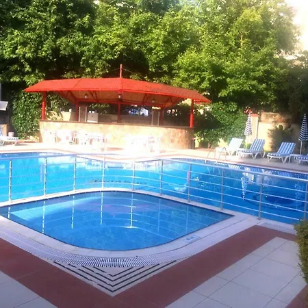 Daire Gold Sun 4